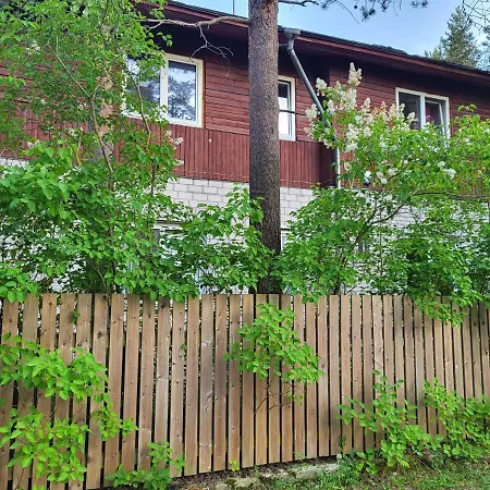 Viva Nomme * Tallinn